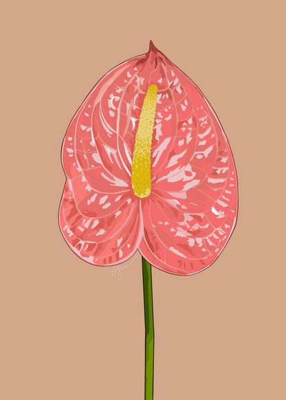 Anthurium Card