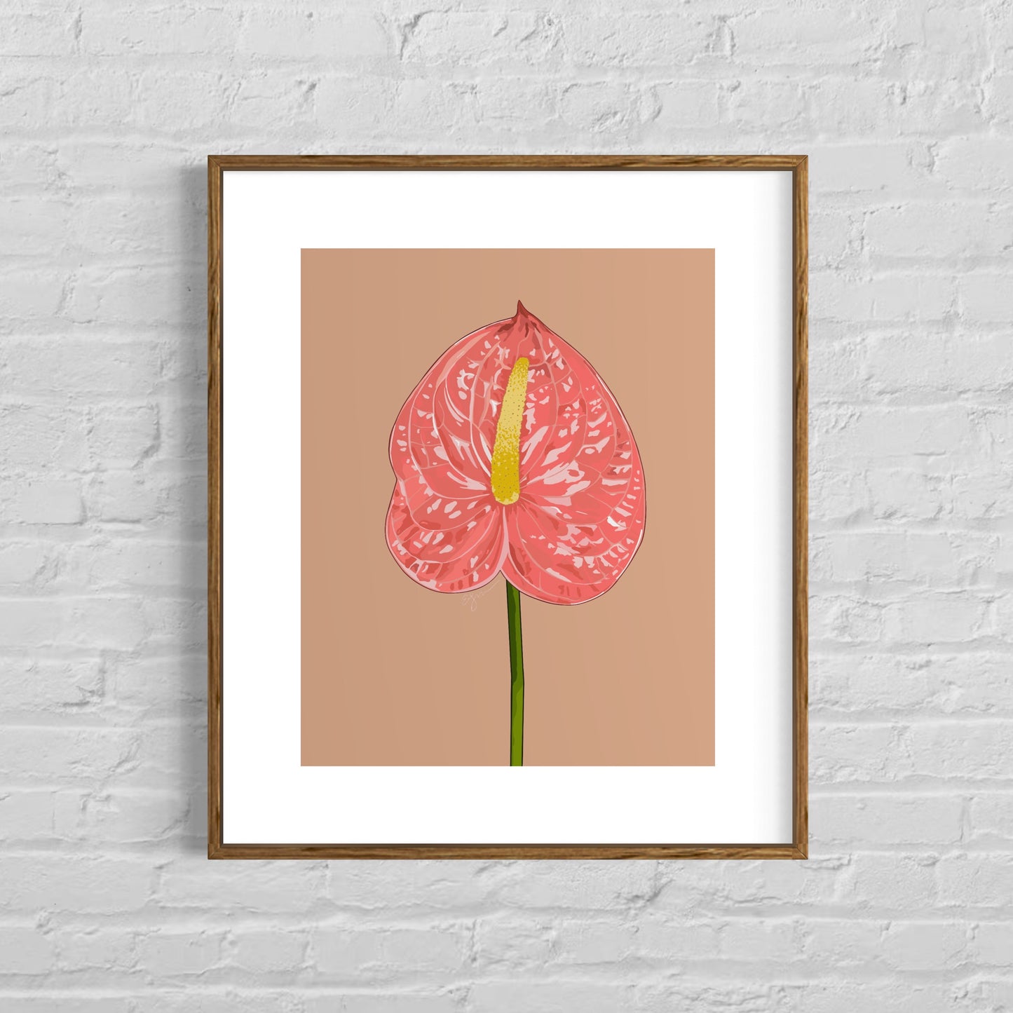 Anthurium